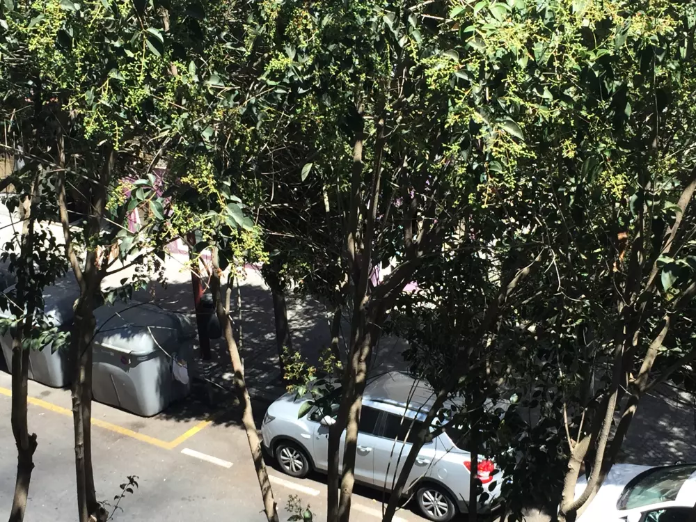 Location de Vacances Séville 88