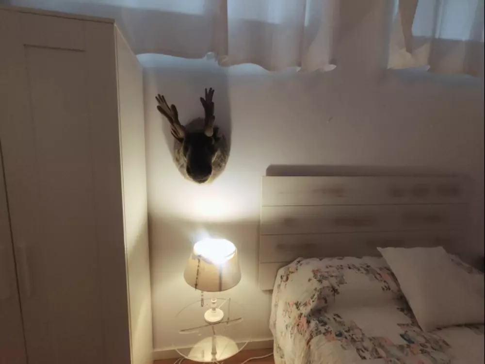 Location de Vacances Séville 95