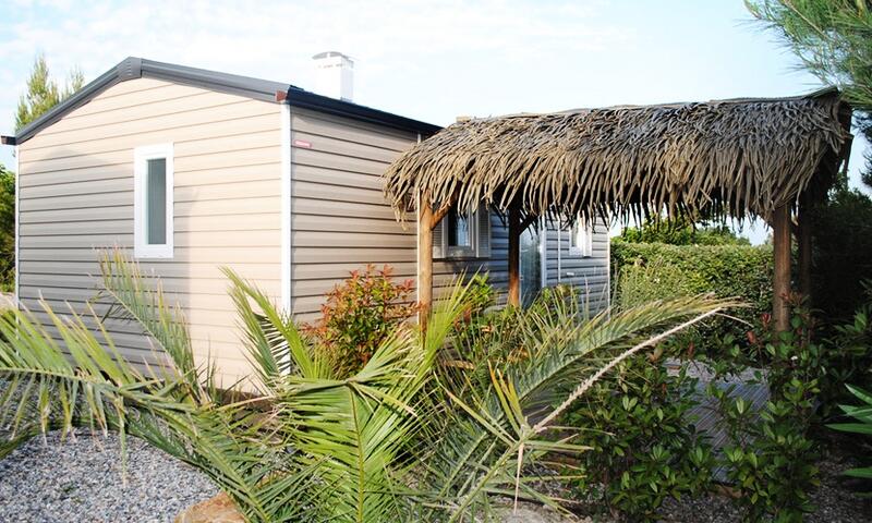 Camping La Grange Neuve *** - Sigean - 27