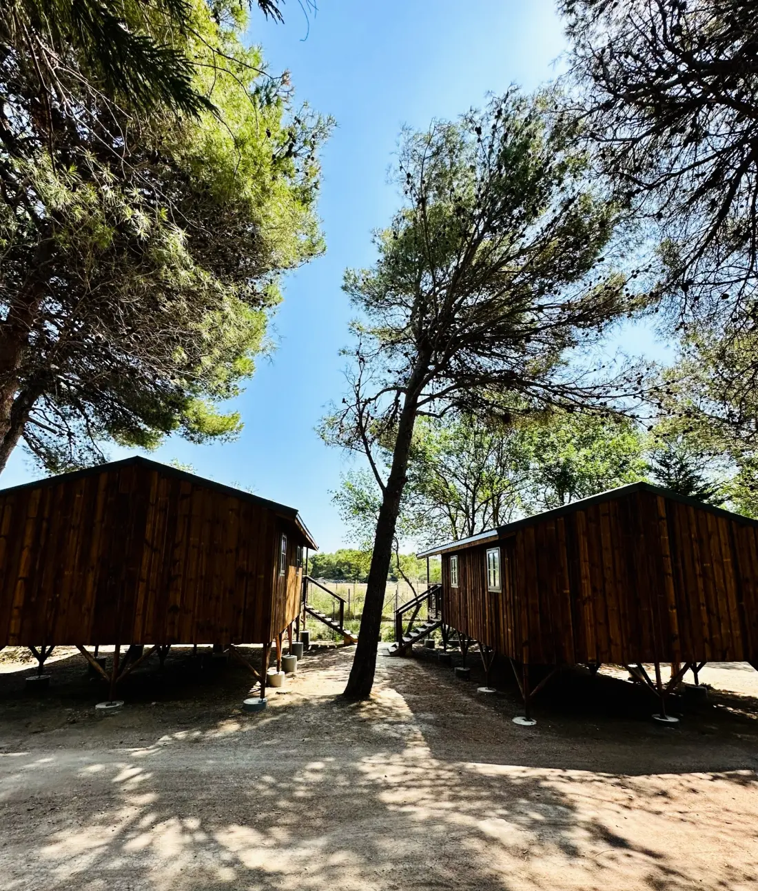 Camping La Grange Neuve - Face à La Réserve Africaine de Sigean 3 étoiles★★★