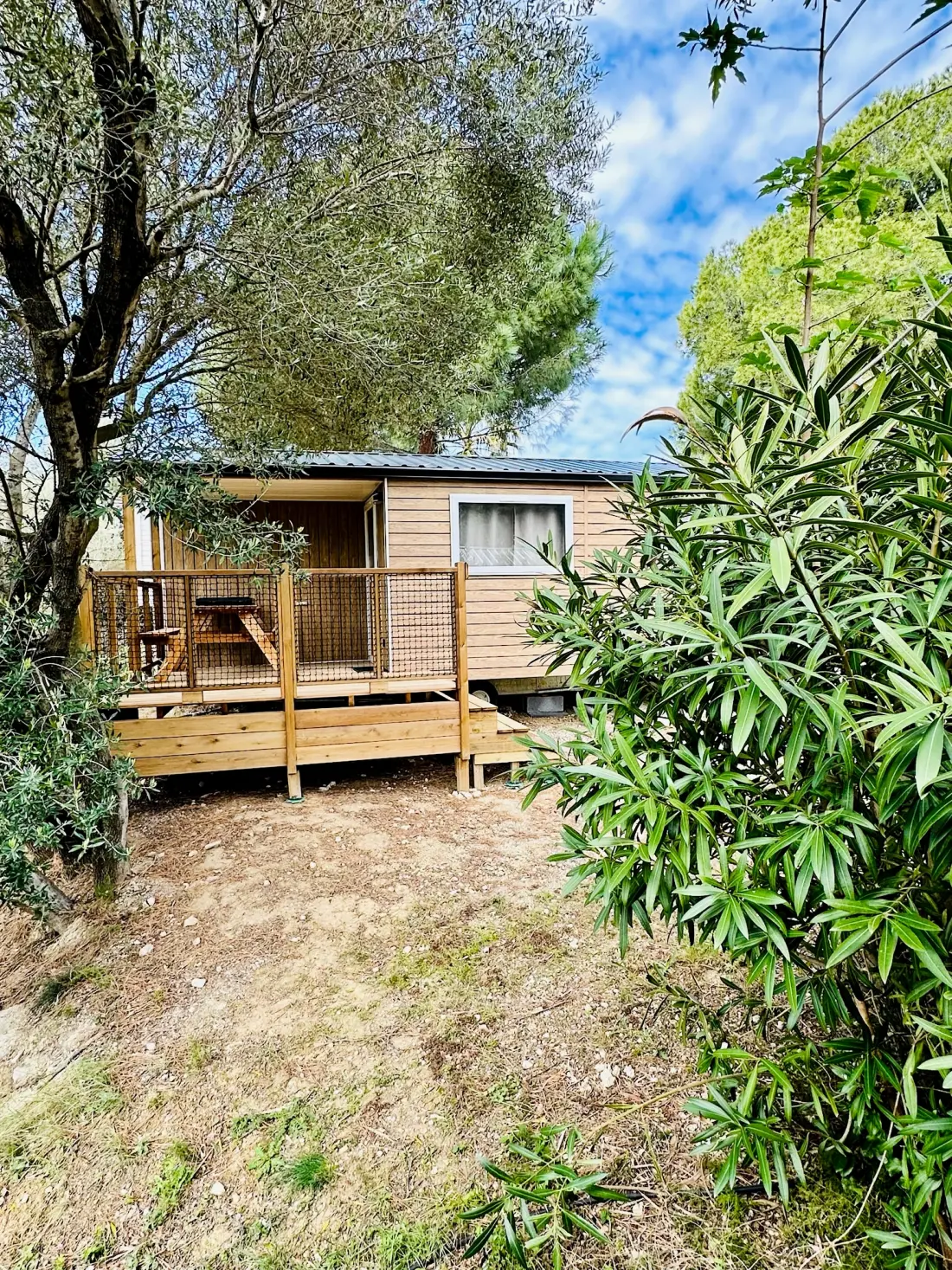 Camping La Grange Neuve - Face à La Réserve Africaine de Sigean 3 étoiles★★★