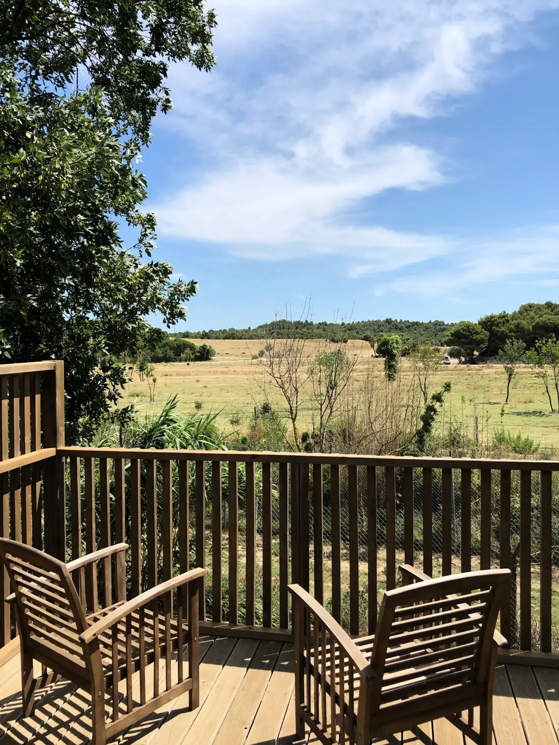 Camping La Grange Neuve - Face à La Réserve Africaine de Sigean 3 étoiles★★★
