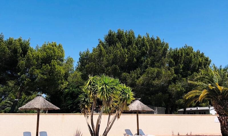 Camping La Grange Neuve *** - Sigean - 1