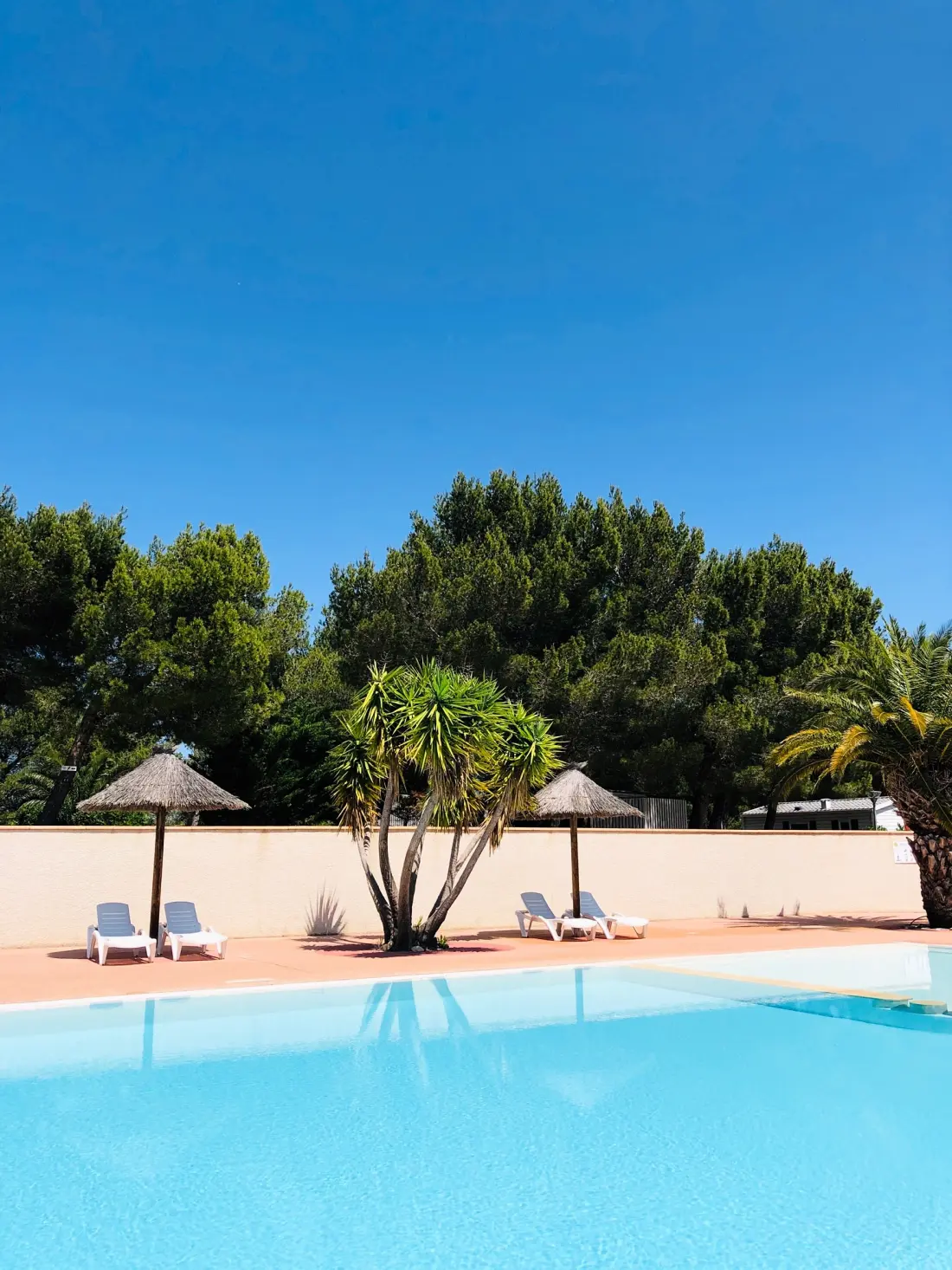 Camping La Grange Neuve - Face à La Réserve Africaine de Sigean 3 étoiles★★★