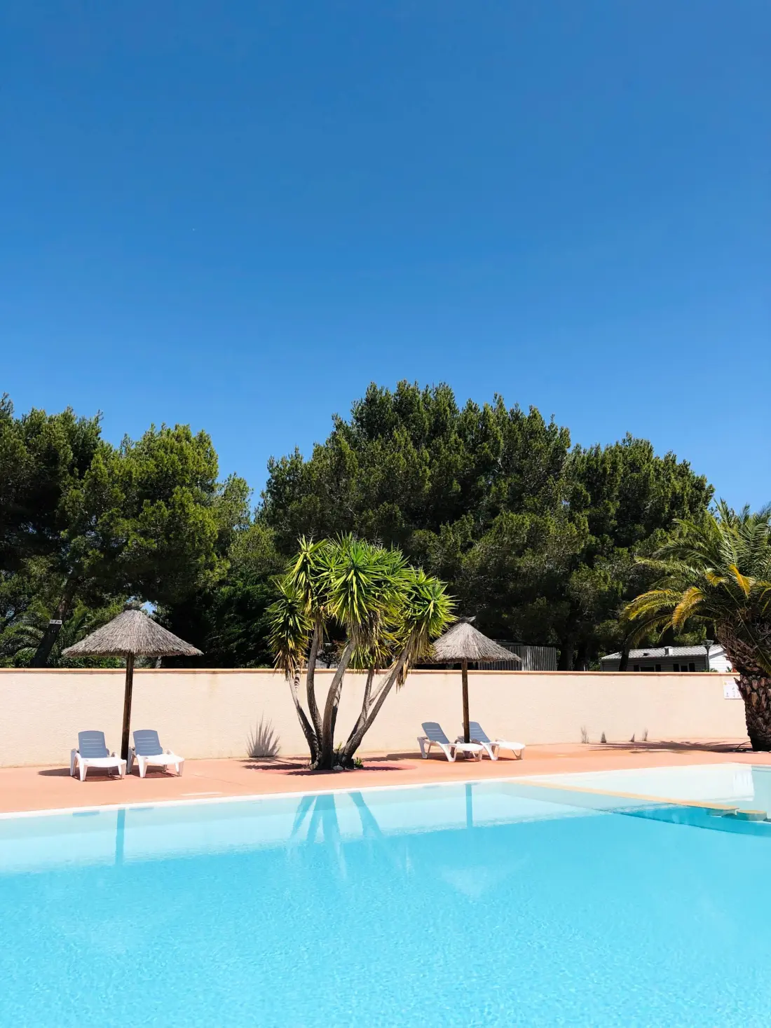 Camping La Grange Neuve - Face à La Réserve Africaine de Sigean 3 étoiles★★★