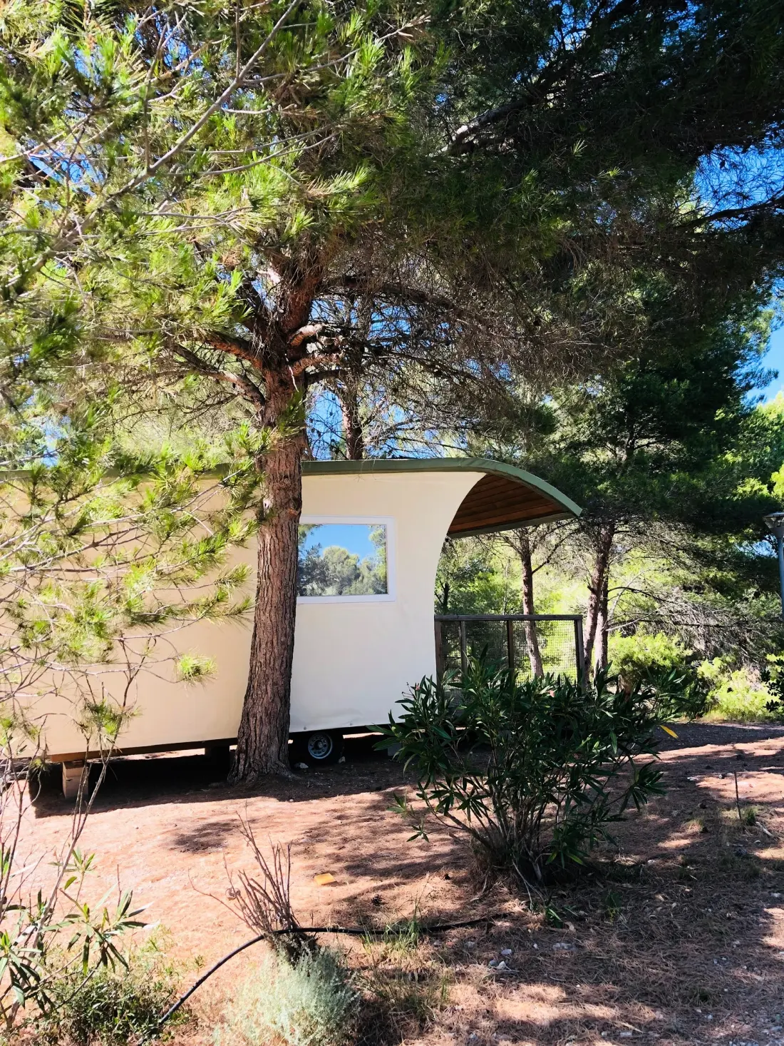 Camping La Grange Neuve - Face à La Réserve Africaine de Sigean 3 étoiles★★★
