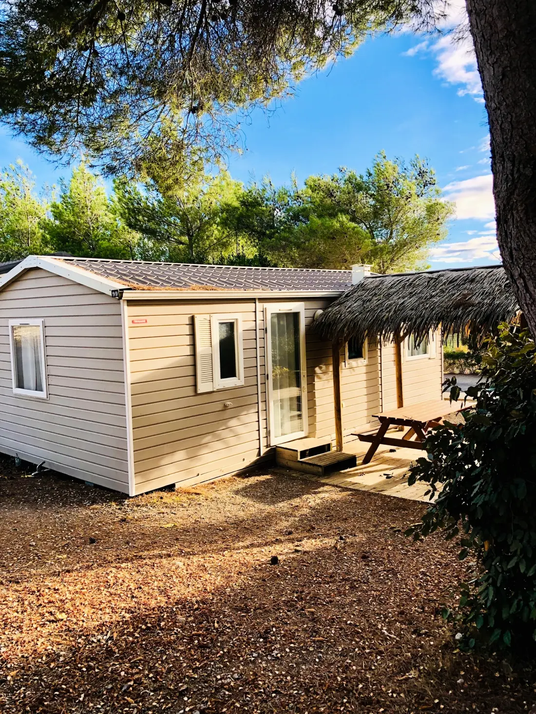 Camping La Grange Neuve - Face à La Réserve Africaine de Sigean 3 étoiles★★★