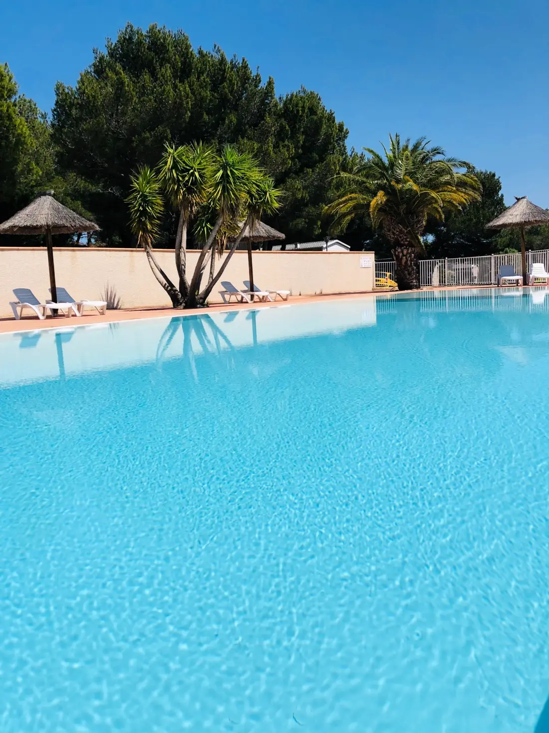 Camping La Grange Neuve - Face à La Réserve Africaine de Sigean 3 étoiles★★★