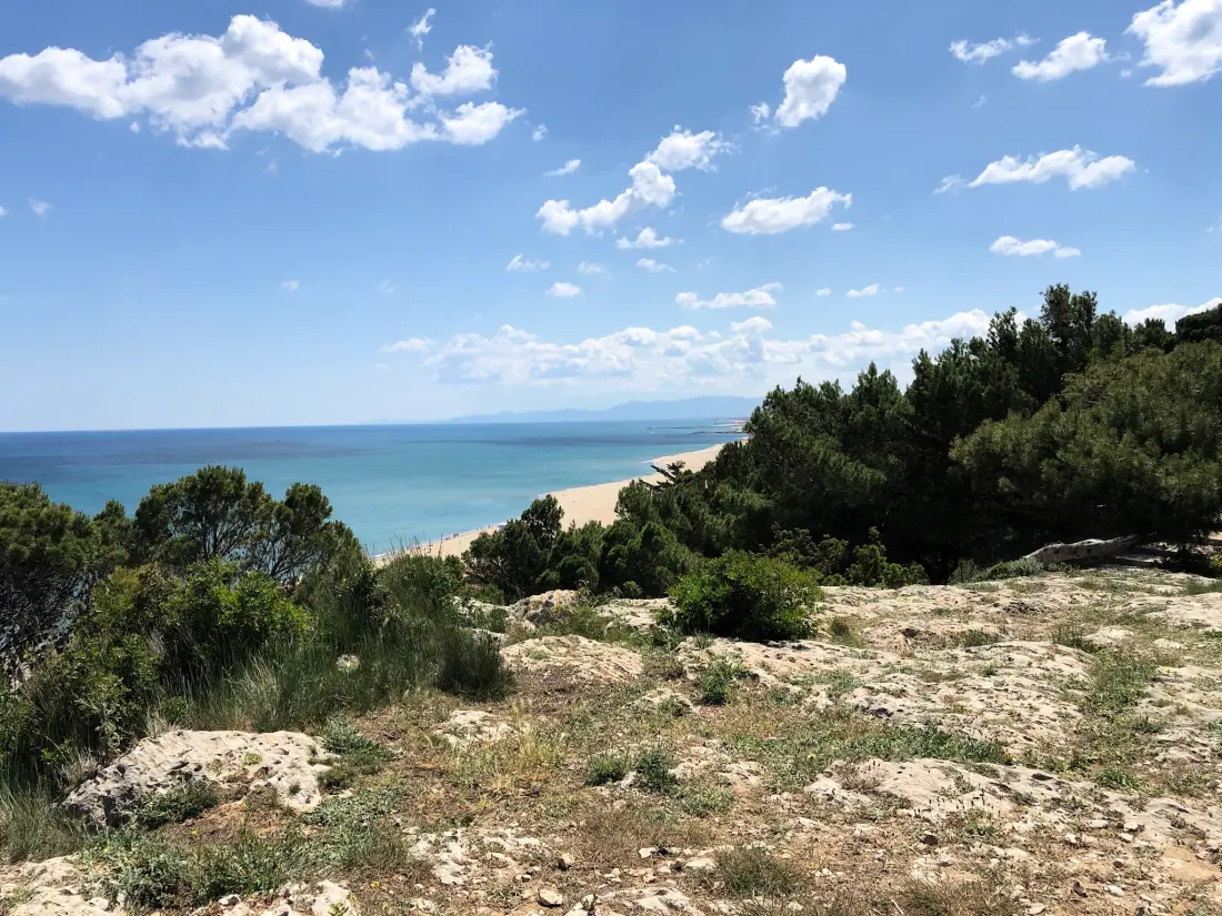 Camping La Grange Neuve - Face à La Réserve Africaine de Sigean 3 étoiles★★★