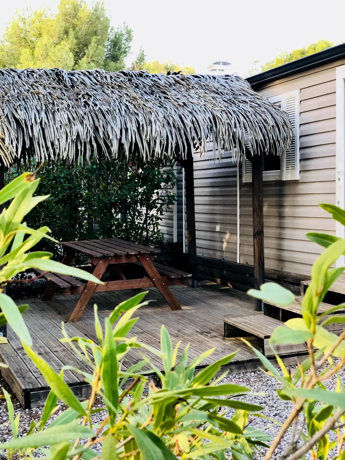 Camping La Grange Neuve - Face à La Réserve Africaine de Sigean 3 étoiles★★★