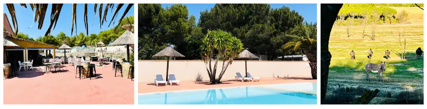 Camping La Grange Neuve - Face à La Réserve Africaine de Sigean 3 étoiles★★★