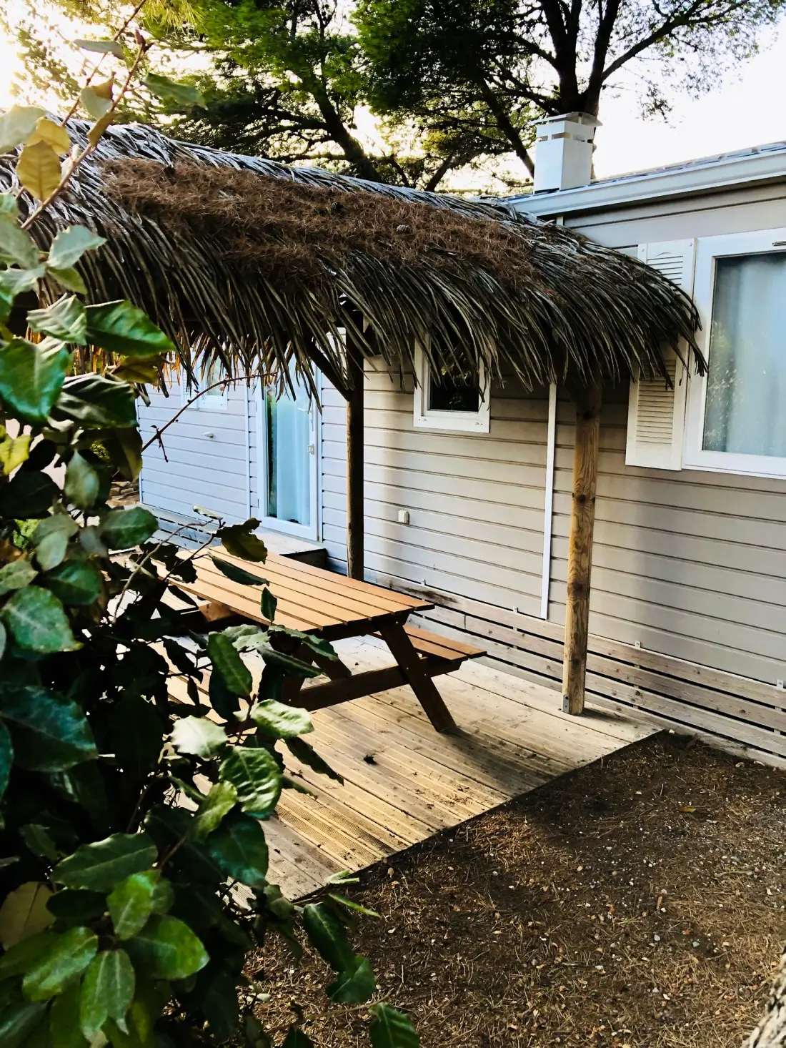 Camping La Grange Neuve - Face à La Réserve Africaine de Sigean 3 étoiles★★★