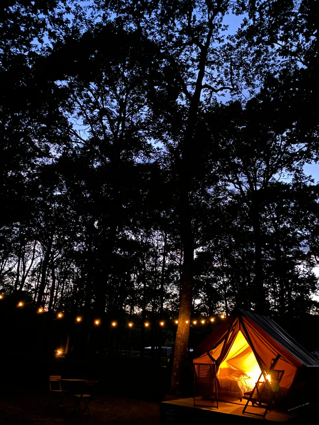 Camping Seasonova La Forêt 3 étoiles★★★