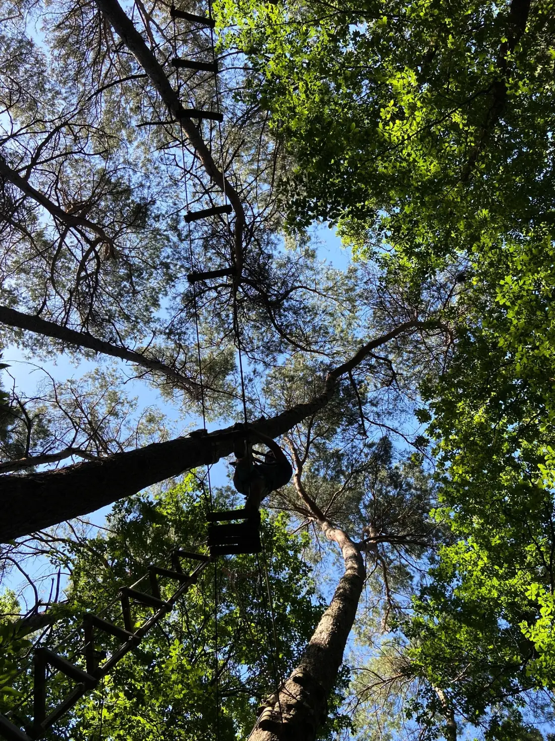 Camping Seasonova La Forêt 3 étoiles★★★