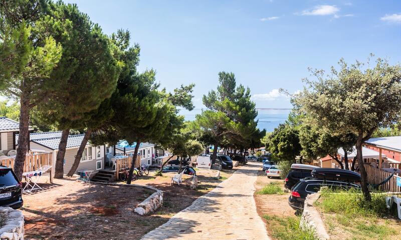 Camping Simuni - Šimuni (Pag) - 2