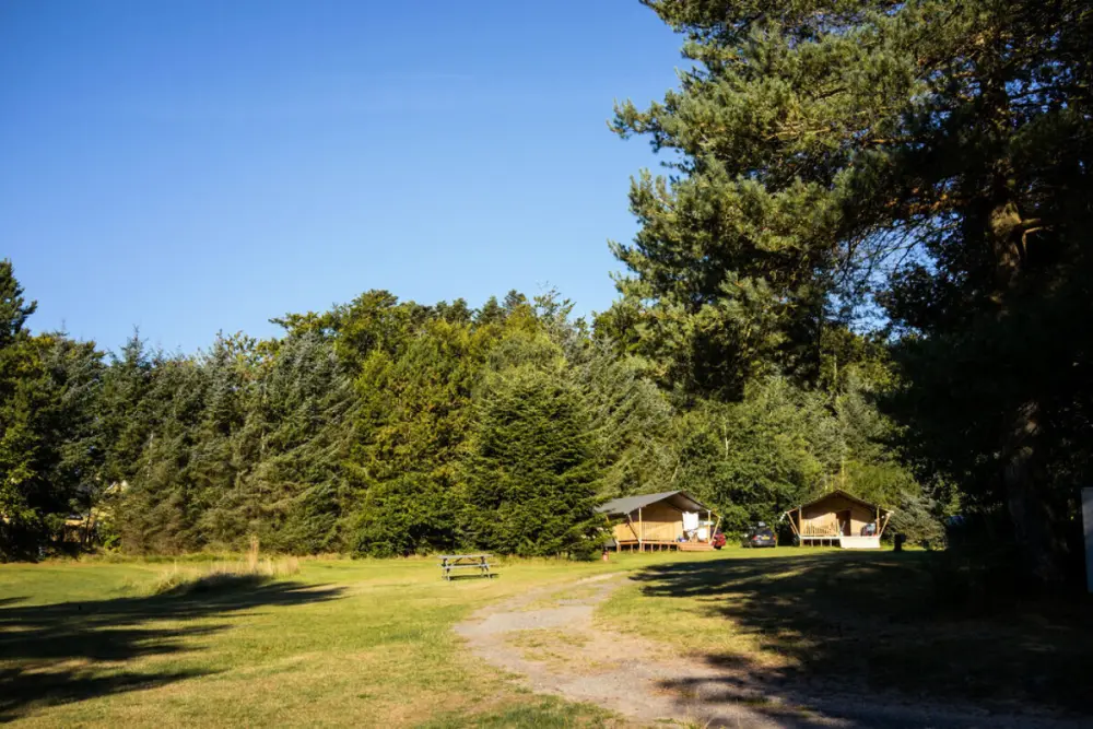 Tolne Camping