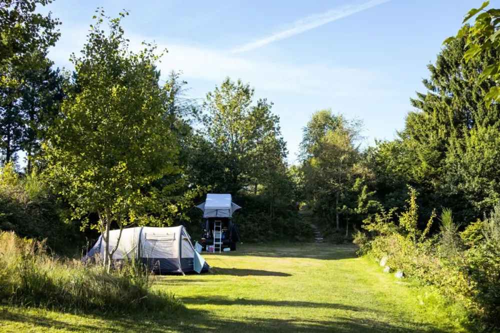 Tolne Camping