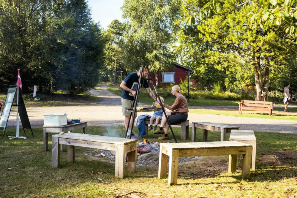 Tolne Camping