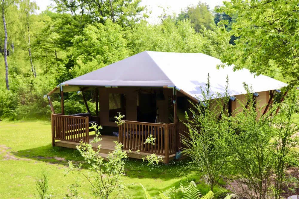 Tolne Camping