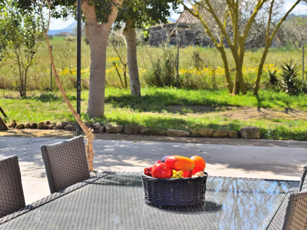 Maison de Vacances Sineu 18