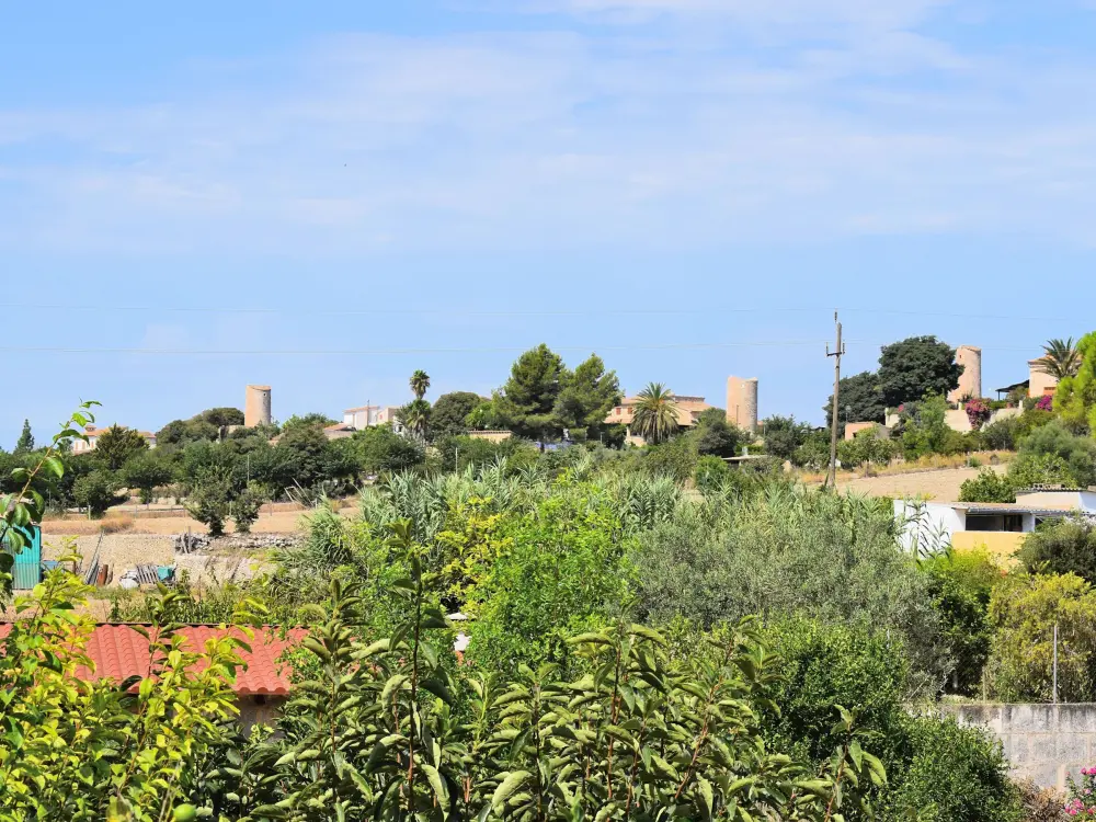 Maison de Vacances Sineu 19