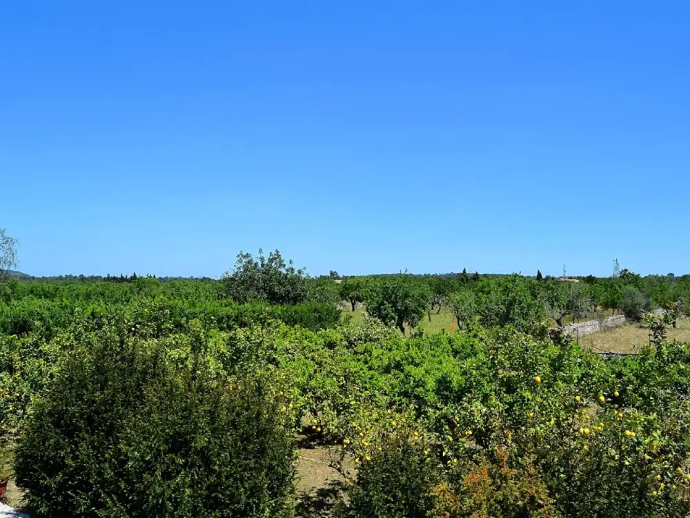 Maison de Vacances Sineu 21