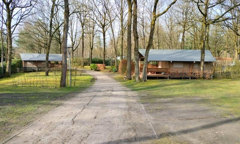 Camping Floreal Het Veen **** - - Sint-Job-in-'t-Goor - 5