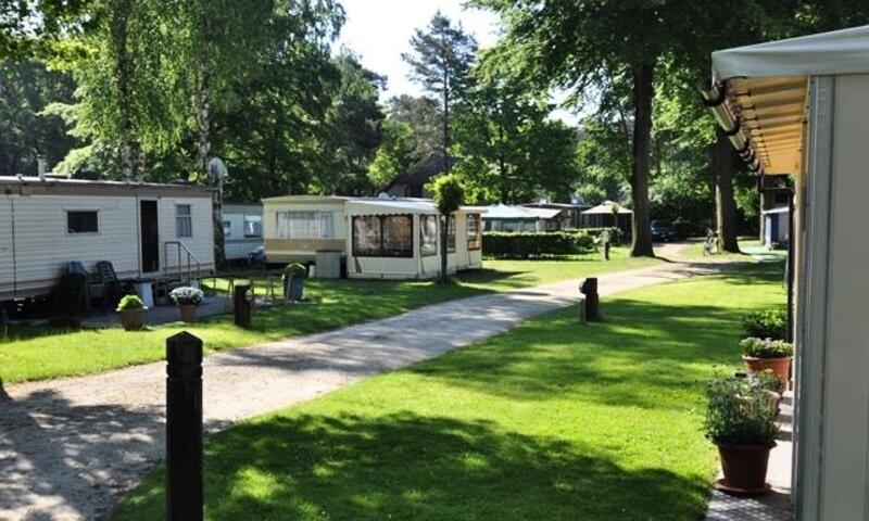 Camping Floreal Het Veen **** - - Sint-Job-in-'t-Goor - 11