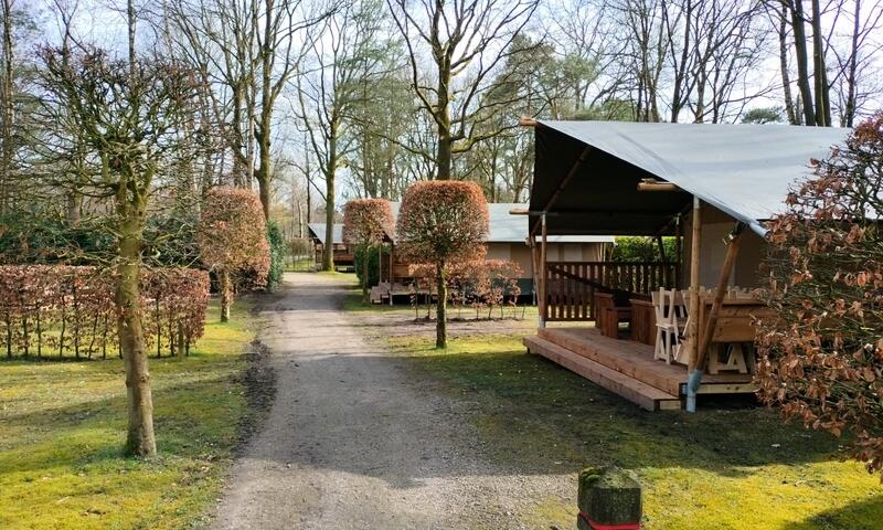 Camping Floreal Het Veen **** - - Sint-Job-in-'t-Goor - 6