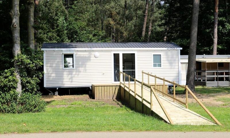 Camping Floreal Het Veen **** - - Sint-Job-in-'t-Goor - 12