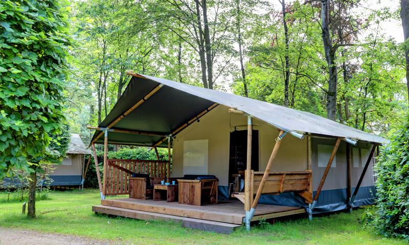 Camping Floreal Het Veen **** - - Sint-Job-in-'t-Goor - 3