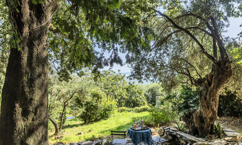 Maison à Sisco - Corse - - Sisco - Corse - 44