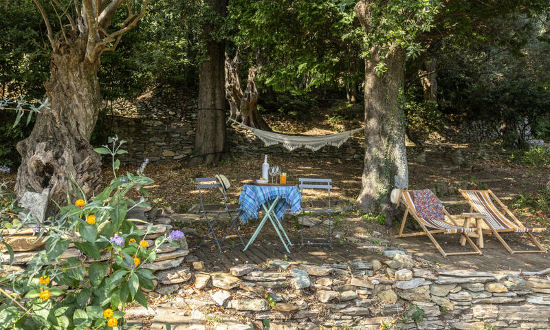 Maison à Sisco - Corse - - Sisco - Corse - 43