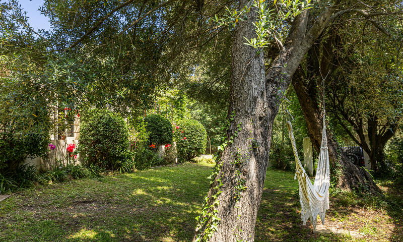 Maison à Sisco - Corse - - Sisco - Corse - 47