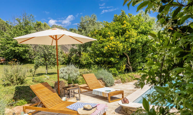 Maison à Sisco - Corse - - Sisco - Corse - 6