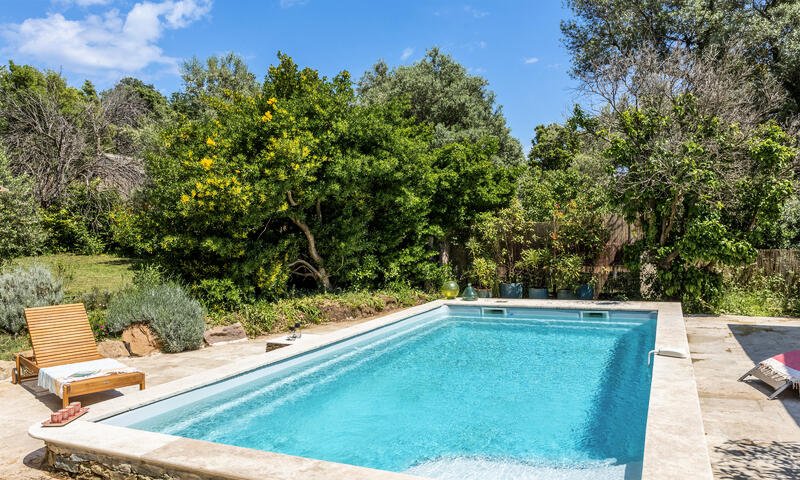 Maison à Sisco - Corse - - Sisco - Corse - 43
