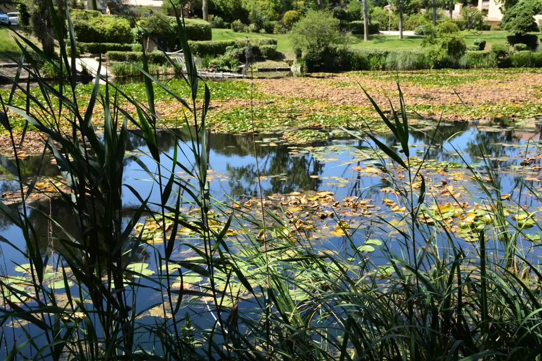 Résidence Les Jardins D Azur