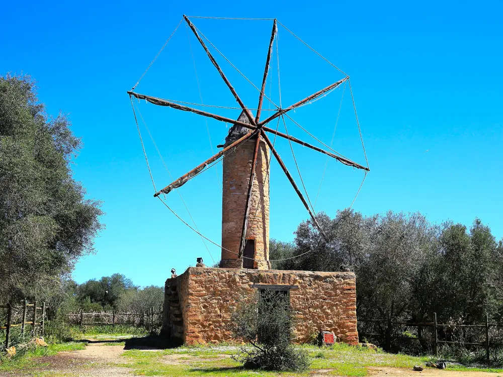 Maison de Vacances Son Serra de Marina 39