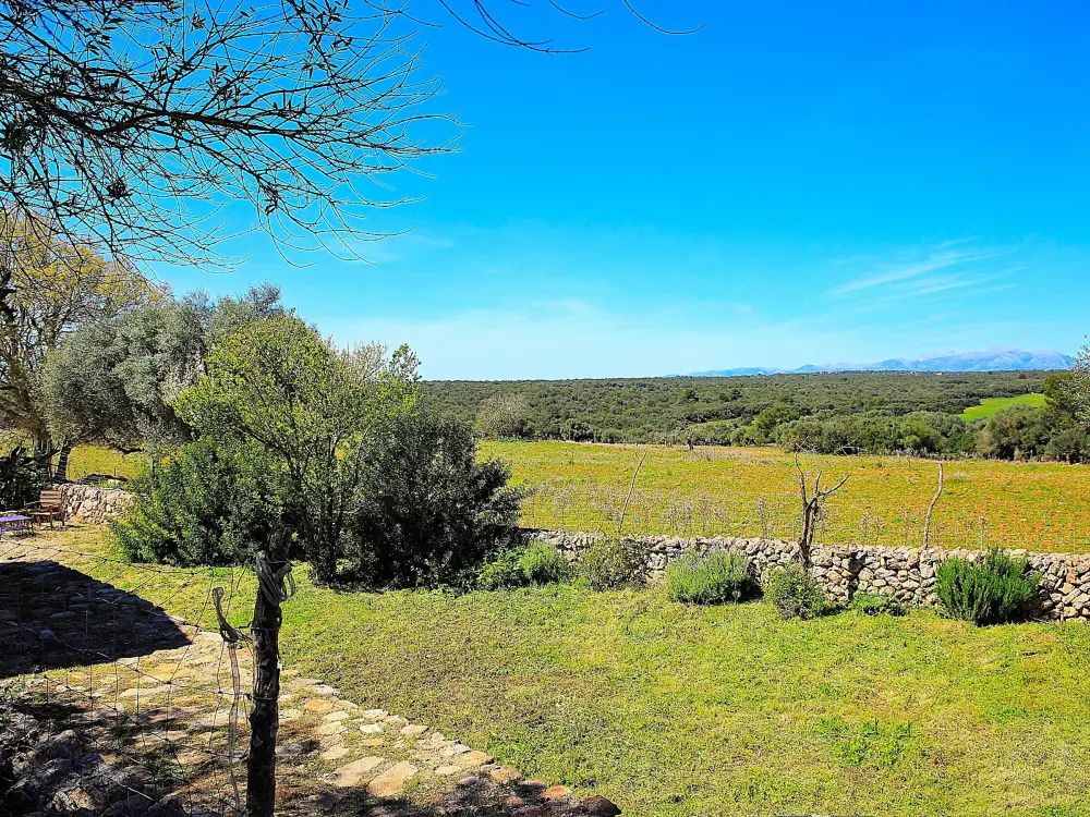 Maison de Vacances Son Serra de Marina 39