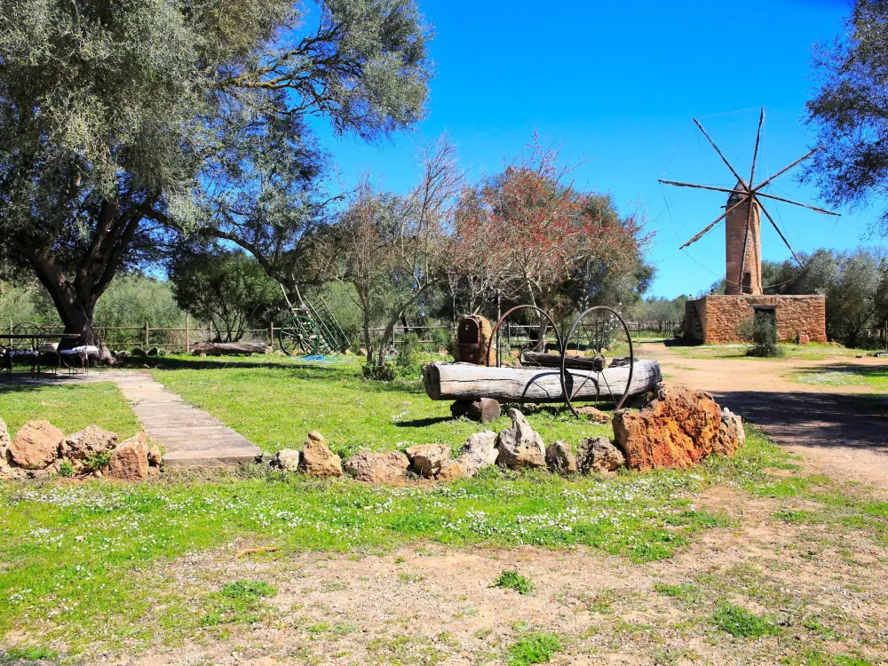 Maison de Vacances Son Serra de Marina 39