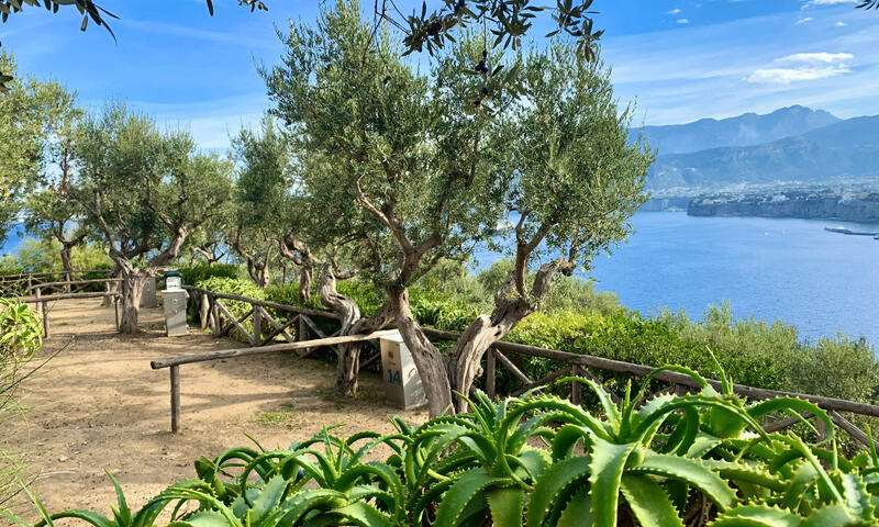 Villaggio Campeggio Santa Fortunata **** - Sorrento - 1