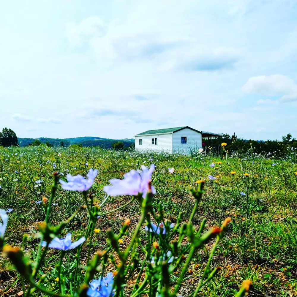 Camping Nature Le Valenty 3 étoiles★★★