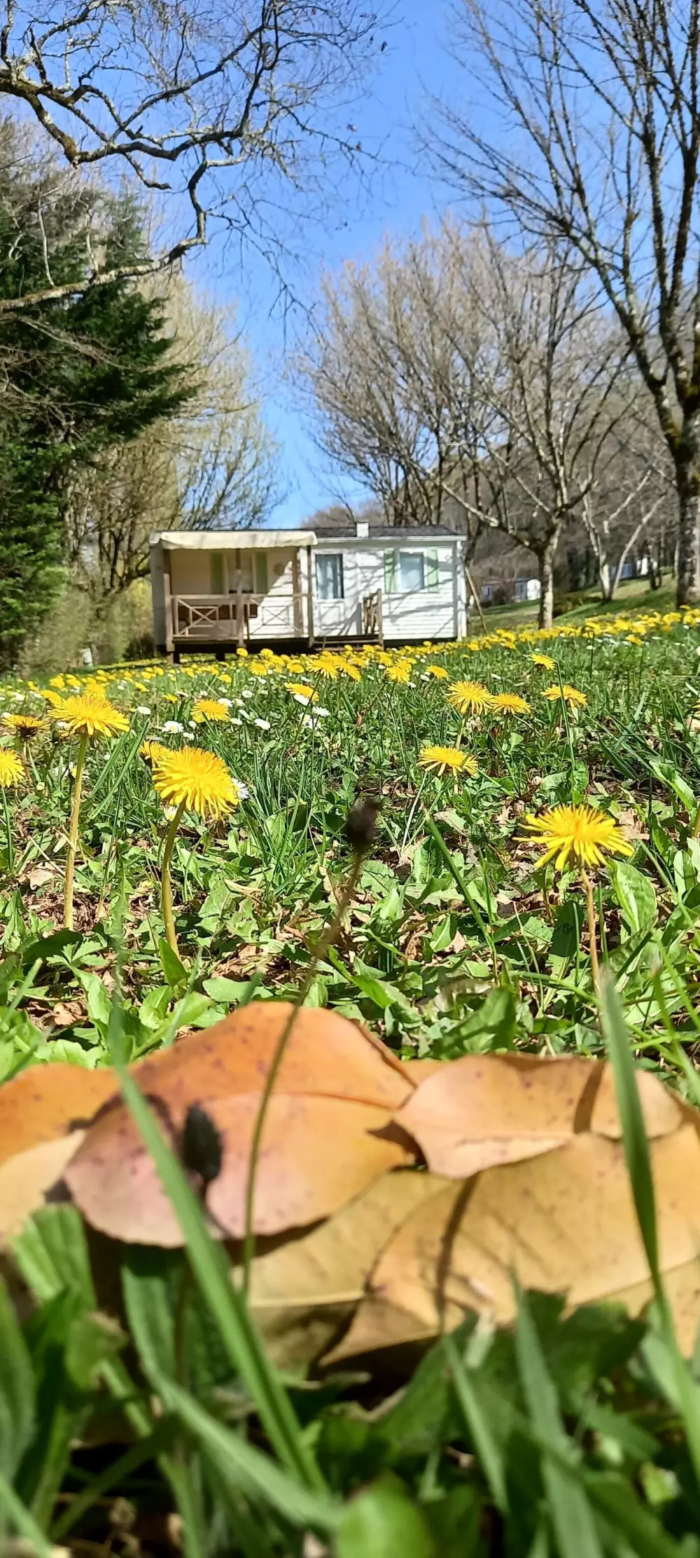 Camping Nature Le Valenty 3 étoiles★★★