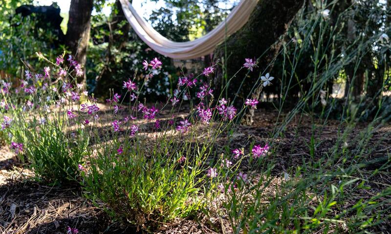 Résidence 081-soulac Sur Mer - - Soulac-sur-Mer - 3