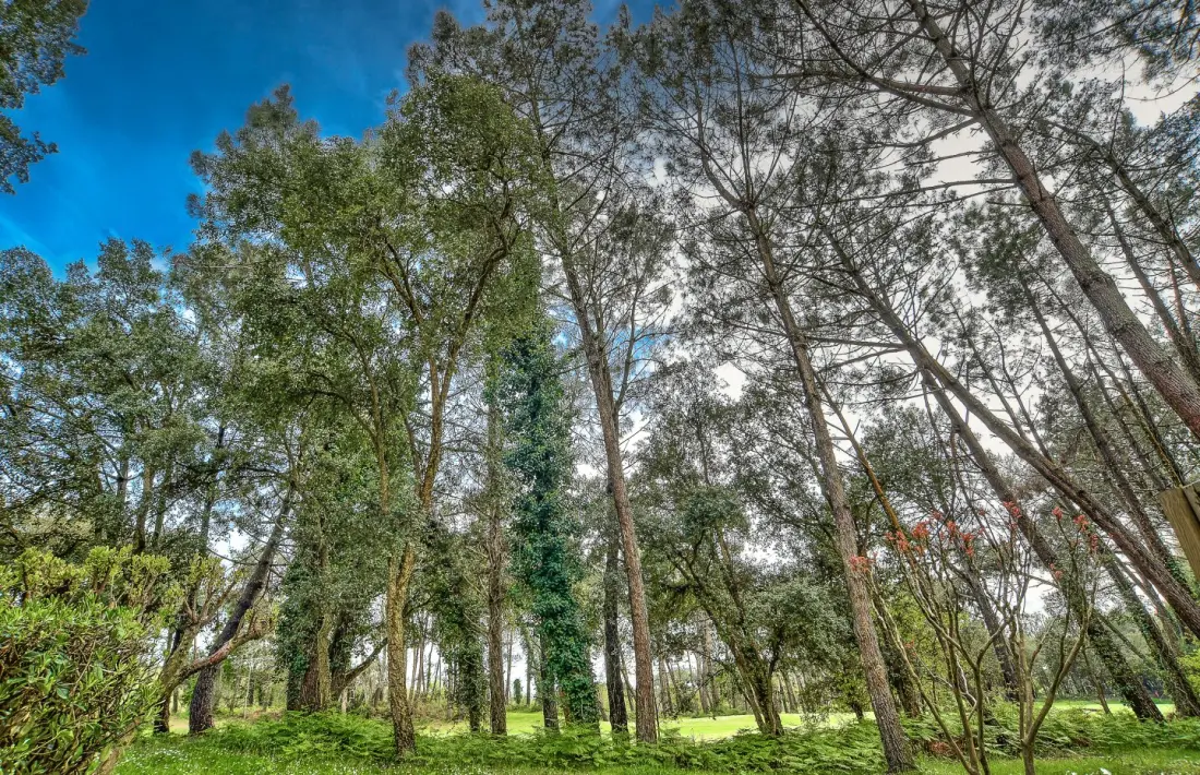 Les Maisons du Domaine du Golf de Pinsolle - maeva Home