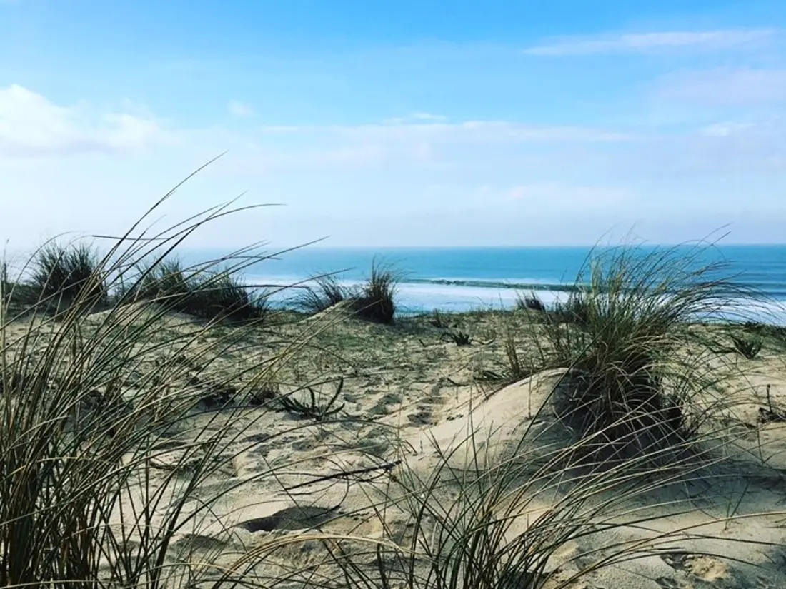 Location de Vacances Soustons 17