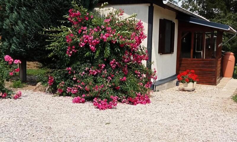 Gîte de France Le cailloutis 2 épis - - St Jean aux Bois - 6