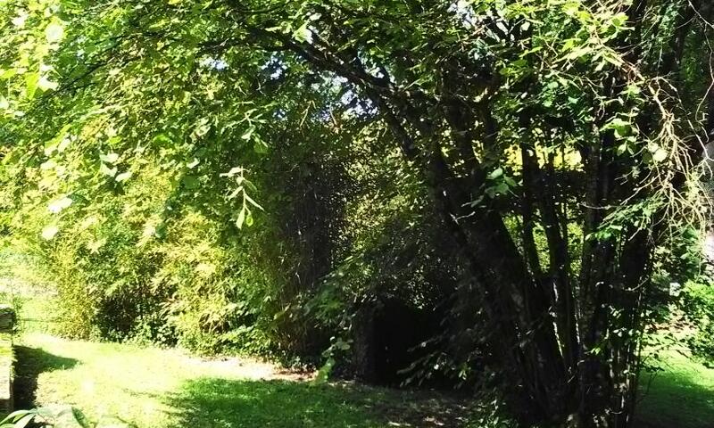 Gîte de France Le cailloutis 2 épis - - St Jean aux Bois - 10