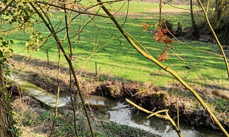 Gîte de France Le cailloutis 2 épis - - St Jean aux Bois - 9
