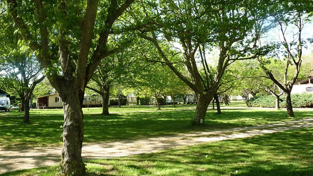 Camping le PEYROLAIS 3 étoiles★★★